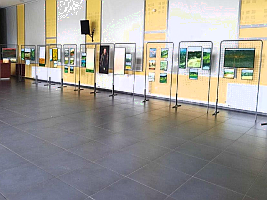 Impressionen von der Ausstellung