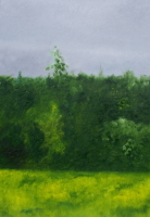 Darney in Frankreich