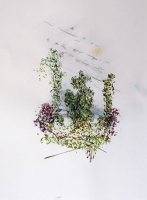 Pastelle aus Darney in Frankreich