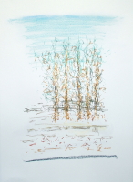 Pastelle aus Darney in Frankreich