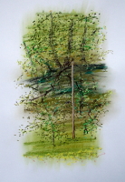 Pastelle aus Darney in Frankreich