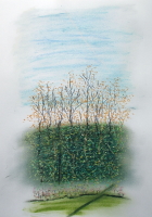 Pastelle aus Darney in Frankreich