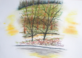 Pastelle aus Darney in Frankreich