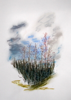 Pastelle aus Darney in Frankreich