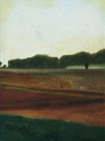 Westfälische Landschaften