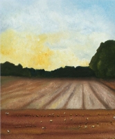 Westfälische Landschaften